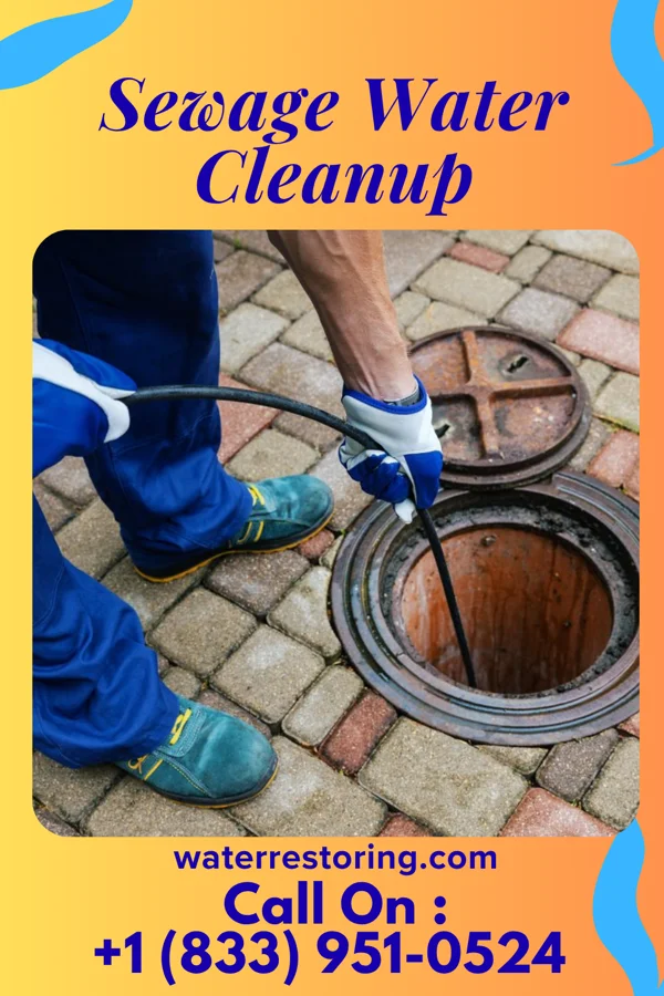 Sewage Water Cleanup in Zanesville, IN